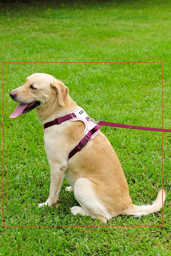 3 in 1 No Pull Dog Harness Leash and Collar Set, Soft Adjustable Dogs Vest Reflective and Comfortable Handle Pink Small