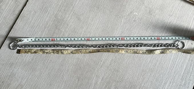 Choke Chain for Dogs, Metal Slip Link Training Heavy Duty Dog Choke Collar Martingale Puppy Collars for XXS XS Small Medium Large Big XL Breed Dogs (Silver, S)
