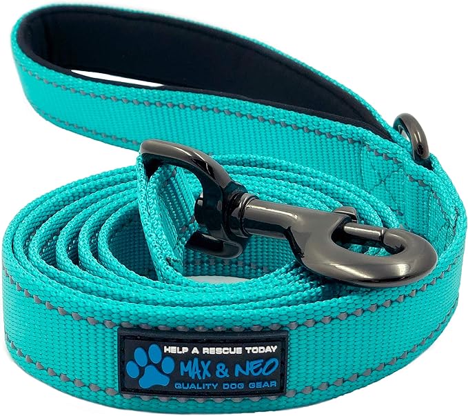 Max and Neo Reflective Nylon Dog Leash - We Donate a Leash to a Dog Rescue for Every One Sold (Teal, 6x1)