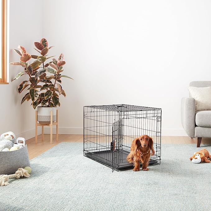 Amazon Basics Portable, Foldable Metal Wire Dog Crate with Removable Tray, Single Door, Divider Panel, Quick Setup, 30 x 19 x 21 in, Black