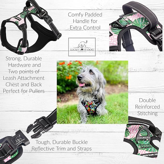 Lucky Love Dog No Pull Dog Harness, Adjustable and Easy to Walk, Cute Patterned Harness for Large Male & Female Dogs - Laguna, Large