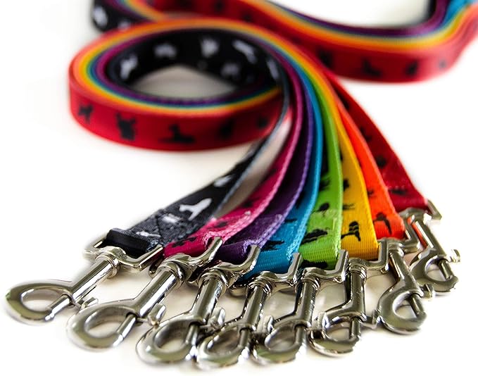 EcoBark Dog Leash - Soft & Reflective Comfort Leashes with Padded Handle - Safe, Strong, & Durable for Small, Medium or Large Dogs (Red)
