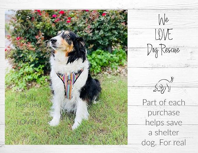 Lucky Love Dog No Pull Dog Harness, Adjustable and Easy to Walk, Cute Patterned Harness for Large Male & Female Dogs - Primrose, Large
