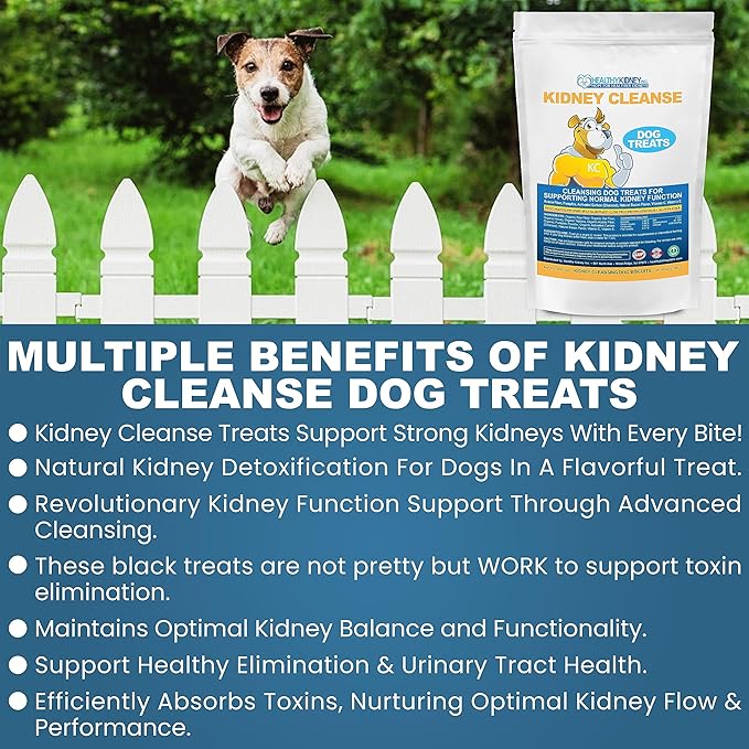 Petite Size Beef Flavor Kidney Cleanse Dog Treats 20 Oz - Kidney Support Formula for Toxin Elimination - Low Protein & Phosphorus Diet Snacks - Ideal for Kidney Wellness