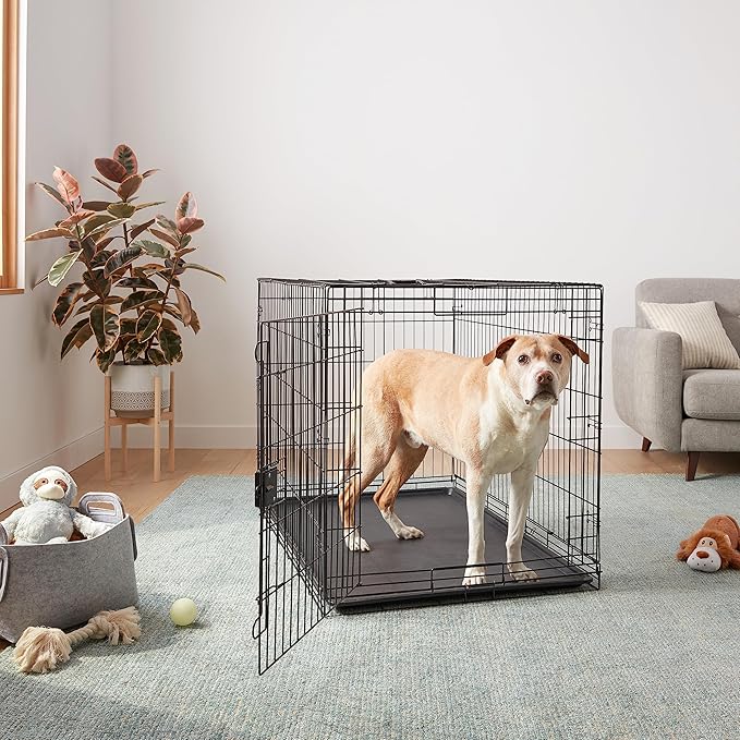 Amazon Basics Portable, Foldable Metal Wire Dog Crate with Removable Tray, Divider Panel, Easy to Assemble, for Large Dogs, 48 x 30 x 32.5 in, Black