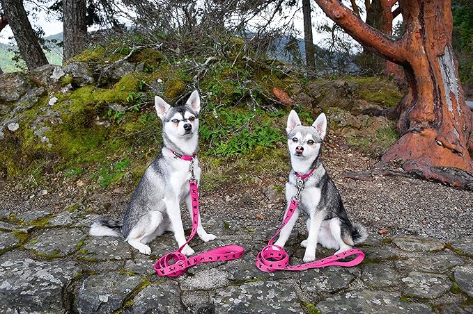 EcoBark Dog Leash - Soft & Reflective Comfort Leashes with Padded Handle - Strong Durable Heavy Duty - Training and Pulling for Small, Medium or Large Dogs (Pink)