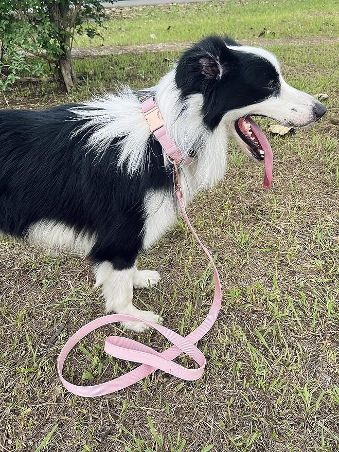 Dog Collar and Leash Set.Soft and Easy to Clean Vegan Leather with Rose Gold Metal Buckle for Small Medium Large Dogs (Pink, S(12.2"-16.9"))