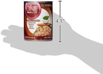 Purina ONE Natural High Protein Dog Food, Tender Cuts in Gravy Chicken and Brown Rice Entrée - 13 Ounce (Pack of 24)