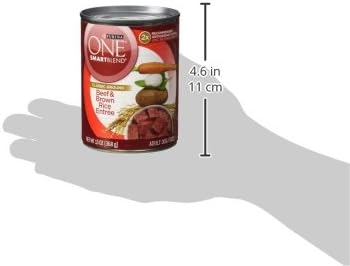 Purina ONE Classic Ground Beef and Brown Rice Entree Adult Wet Dog Food - (Pack of 12) 13 oz. Cans