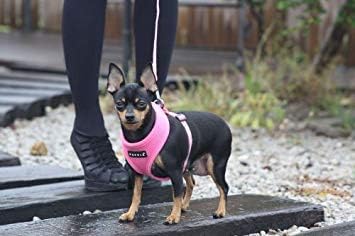 Puppia Soft Dog Harness No Choke Over-The-Head Triple Layered Breathable Mesh Adjustable Chest Belt and Quick-Release Buckle, Brown, Medium