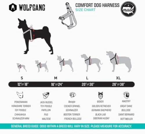 Wolfgang Heavy Duty Adjustable Dog Harness, Pull-Tested for Walking & Training, Mixtape Print, Medium