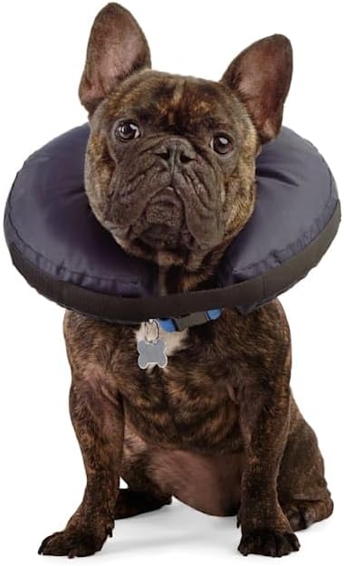 Well & Good by Petco Soft-Filled Recovery Dog Collar Small/Medium