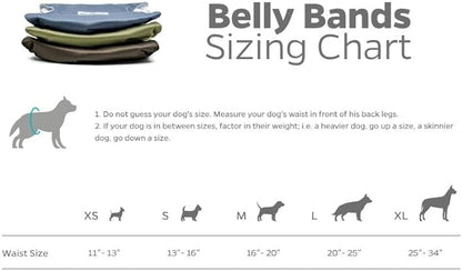 Pet Parents® Washable Belly Bands for Male Dogs (3pack) + Extendrs® of Durable Dog Diapers Male, Premium Male Dog Diapers & Dog Wraps (Small, Koda)