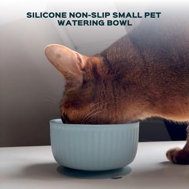Cat Bowls with Suction Cup 400ml with Silicone Lid — Elevated Silicone Pet Dish with Non-Slip Bottom for Dry Food, Wet Food and Water — Silicone Water Bowl for Small Dog, Rabbit, Kittens (Salad)