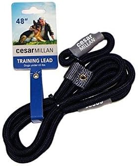 Cesar Millan Slip Lead Leash | Dog Leash | in Training Leash | (Regular, Black)