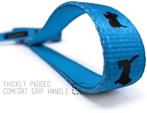 EcoBark Dog Leash - Soft & Reflective Comfort Leashes with Padded Handle - Strong Durable Heavy Duty - Training and Pulling for Small, Medium or Large Dogs (Sky Blue)
