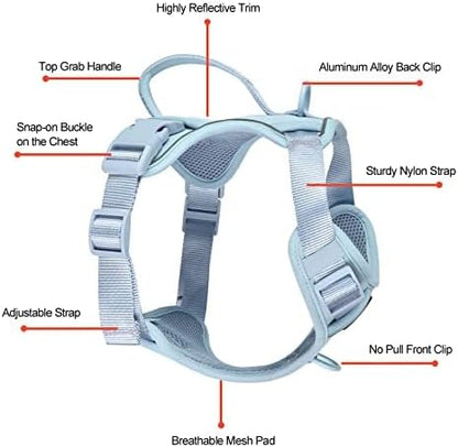 Petmolico Dog Harness for Small Dogs, Cute Harness Vest with Two Leash Clips and Soft Handle, Reflective Easy Walk Puppy Vest - Light Blue, X-Small