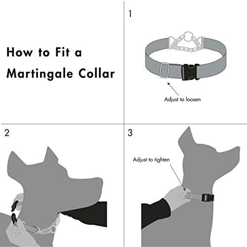 Friends Forever Martingale Dog Collars for Large Dogs - Reflective No Pull Dog Collar for Training Large/Medium Breed Dogs, Large