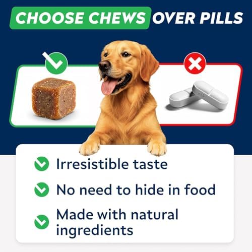 STRELLALAB Dog Allergy Relief & Anti Itch Support Chews w/Omega 3: Real Ingredients, Real Taste! Skin & Coat Immune w/Fish Oil, Pumpkin & Enzymes — Developed by Experts - Made in USA - 60Ct