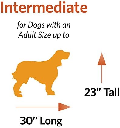 MidWest Homes for Pets Solutions Series Side-by-Side SUV Dog Crate, Double Door Folding Metal Cage Designed to Fit in SUVs & Vans, for Dogs up to 70 Lbs