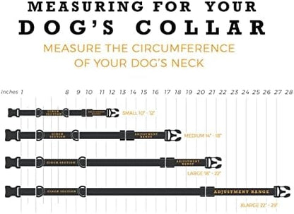 Wolfgang Heavy Duty Martingale Dog Collar with Quick Release Nylon Buckle for Walking & Training, Quetzal Print, Small
