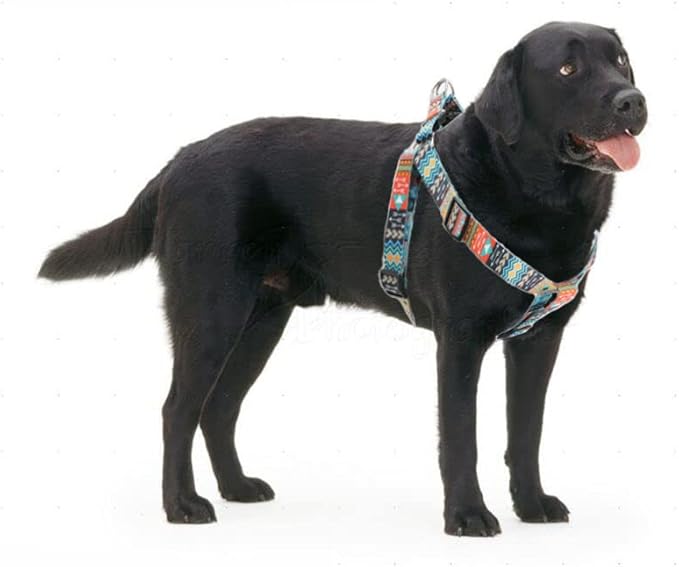 Dog Harness and Leash Set, Pretty Pattern No-Pull Pet Halter Puppy Vest Outdoor Easy Walk for Small Medium Large Breed Pug Bully Mastiff Dogs Female Male, Orange XL