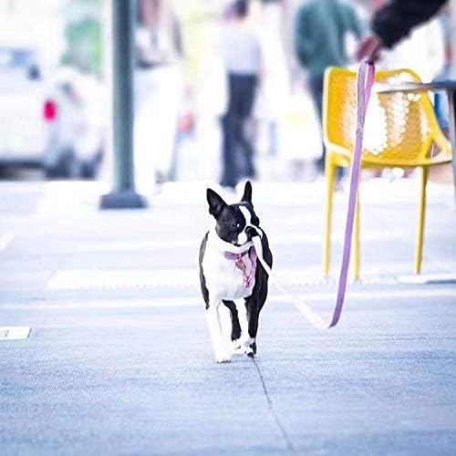 ARING PET Dog Collar and Leash, Velvet Dog Collar and Leash Set, Soft & Comfy, Adjustable Collars for Dogs Medium