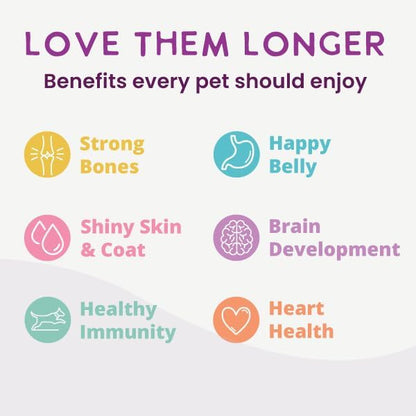 Health Extension Gently Cooked Beef & Potato Dog Food, Human-Grade and Shelf-Stable with Superfoods, Supports Digestion, Immunity, Skin & Coat, 9 oz Pouch (Pack of 5)