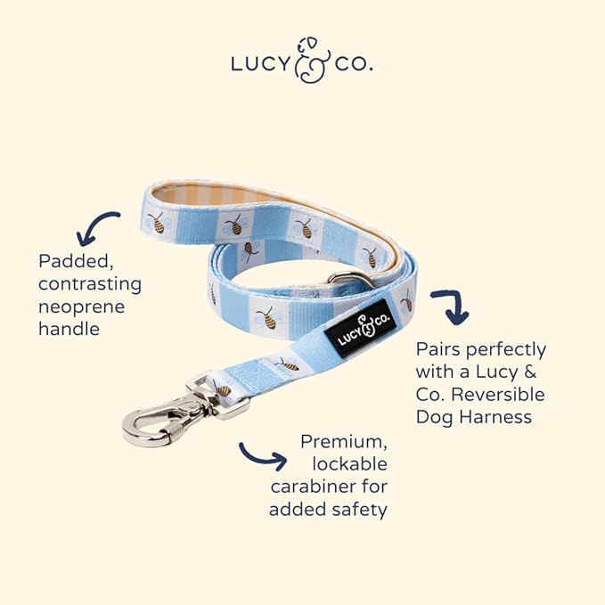 Lucy & Co. Bumbling Around Dog Leash, Durable Matching Dog Lead with Heavy Duty Hardware, Large