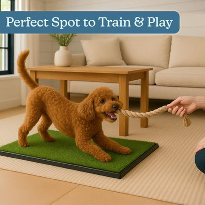 Artificial Grass Puppy Pad with Tray 16x20 inch | Reusable Indoor & Outdoor Dog Potty Training Mat System | Washable Fake Grass Pet Housebreaking Pad for Puppies & Small to Medium Dogs by PETMAKER