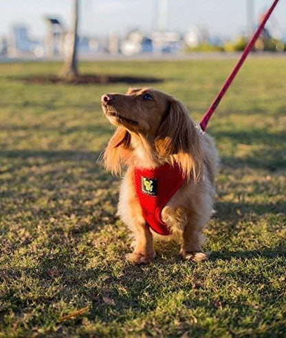 EcoBark Dog Leash - Soft & Reflective Red Comfort Leashes with Padded Handle - Safe, Strong, & Durable for Small, Medium or Large Dogs (Red)