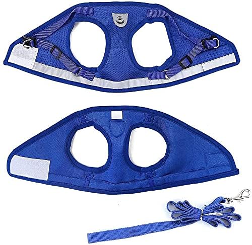 FEimaX Dog Harness and Leash Set for Walking, Soft Mesh Adjustable Easy Control Lightweight Cat Vest Harnesses with Reflective Strips, Escape Proof Small Dogs Cats Vests (Blue, Medium)