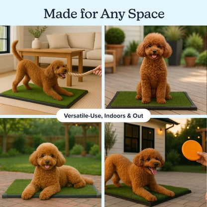 Artificial Grass Puppy Pad with Tray 16x20 inch | Reusable Indoor & Outdoor Dog Potty Training Mat System | Washable Fake Grass Pet Housebreaking Pad for Puppies & Small to Medium Dogs by PETMAKER