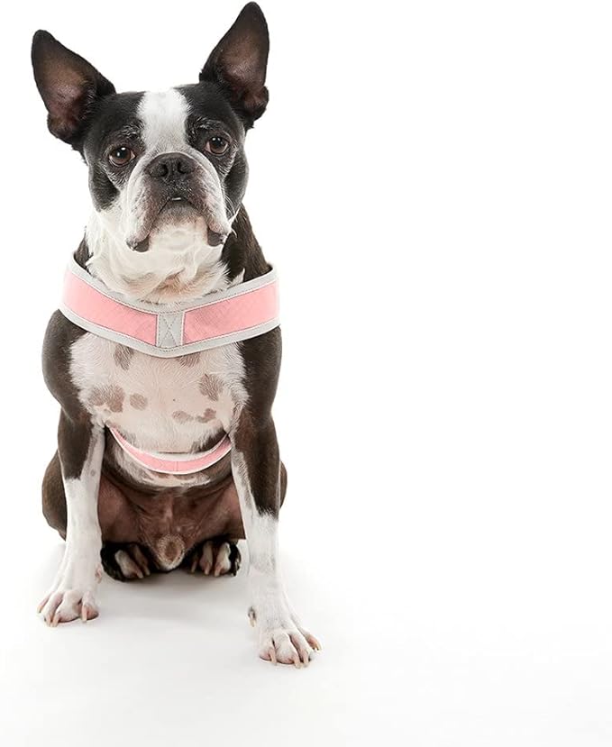Gooby Simple Step in III Harness - Pink, Medium - Small Dog Harness with Scratch Resistant Outer Vest - Soft Inner Mesh Harness for Small, Medium Dogs