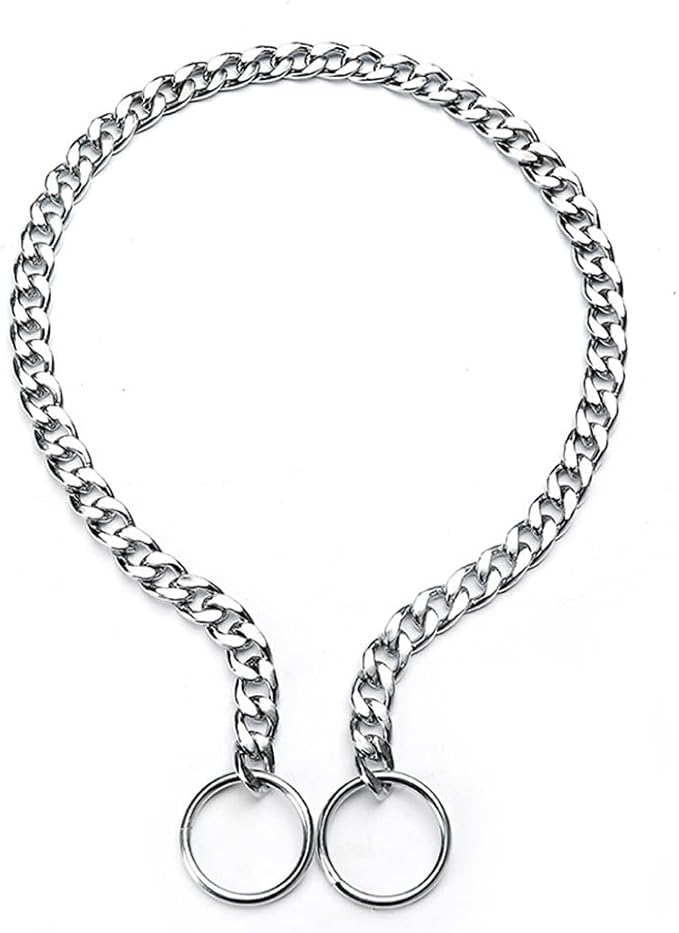 Silver Dog Chain Collar for Large Dogs, Slip P Heavy Duty Martingale Collar Training Metal Link for XS Small Medium Large Big Breed Dogs, XL