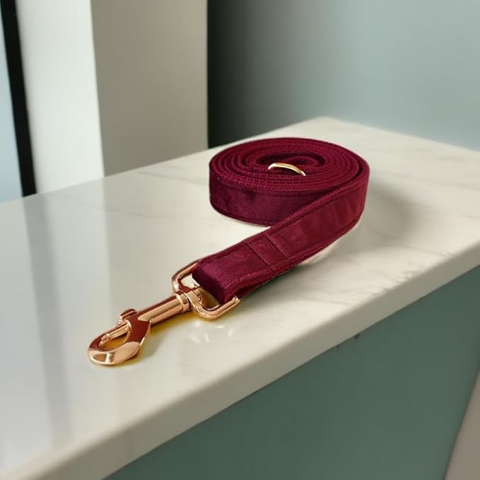 Love Dream Velvet Dog Collar and Leash Set, Soft & Comfy Adjustable Dog Leash and Collar with Heavy Duty Metal Buckle for Small Medium Large Dogs Training & Walking (Small, Wine Red)