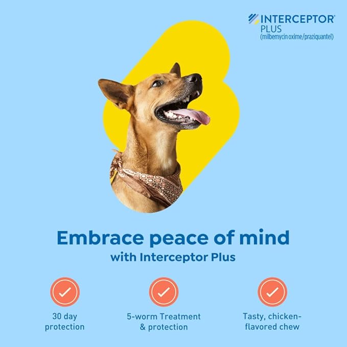 Interceptor Plus Prevention for Heartworm + 4 Other Worms for Dogs 50.1-100 lbs. | 1 Chew, 1-Month Supply