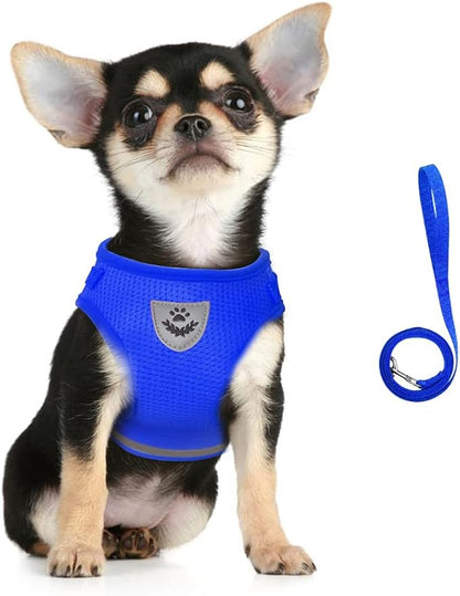 FEimaX Dog Harness and Leash Set for Walking, Soft Mesh Adjustable Easy Control Lightweight Cat Vest Harnesses with Reflective Strips, Escape Proof Small Dogs Cats Vests (Blue, X-Large)