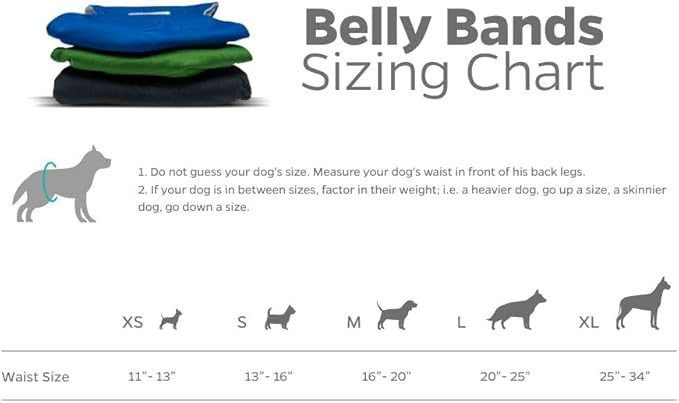 Pet Parents® Washable Belly Bands for Male Dogs (3pack) + Extendrs® of Durable Dog Diapers Male, Premium Male Dog Diapers & Dog Wraps (Large, Gentlemen)