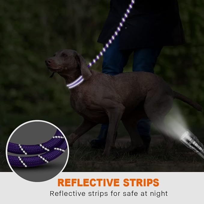 Taglory Rope Dog Leash 6 FT with Comfortable Padded Handle, Highly Reflective Threads Leash and Anti-Tangle Clip for Walking Medium Large Dogs, 1/2 inch, Purple