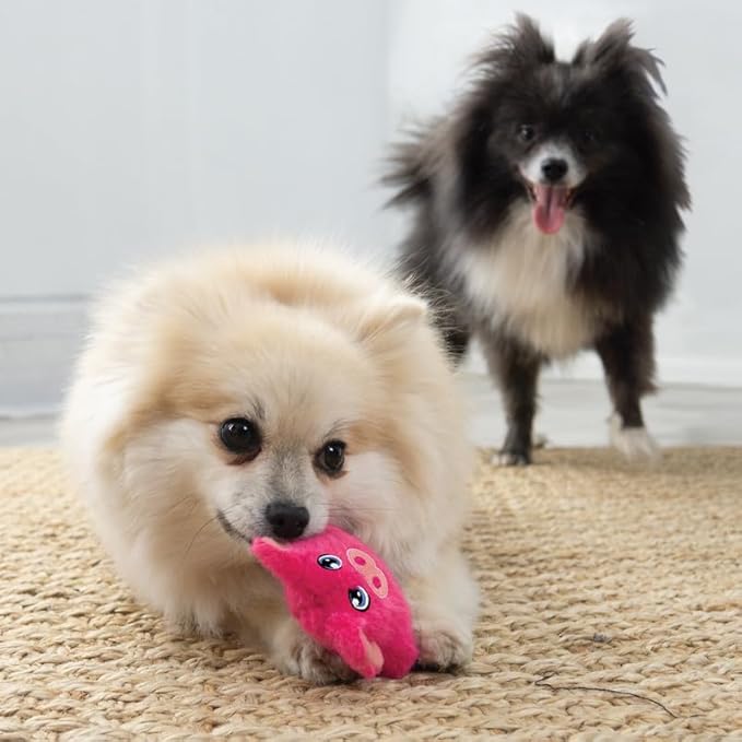 KONG Snuzzles Kiddos Mini Extra Small Dog Toy - Soft Plush Squeaky Toy for Small Dogs & Puppies (Frog/Pig Combo)