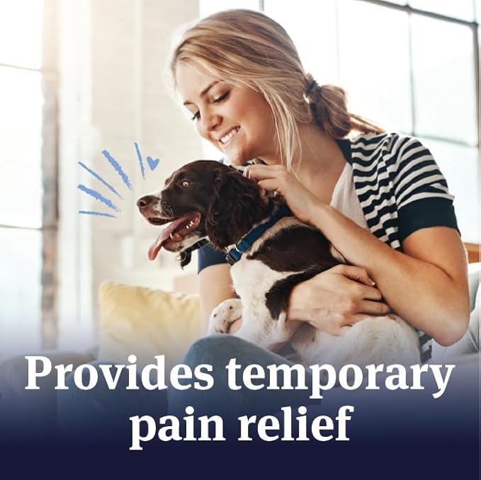 PetArmor Aspirin for Large Dogs, Fast Acting Anti-Inflammatory and Pain Relief For Dogs, Vet-Quality Joint Support and Pain Meds for Dogs, 120 Liver Flavored Tablets