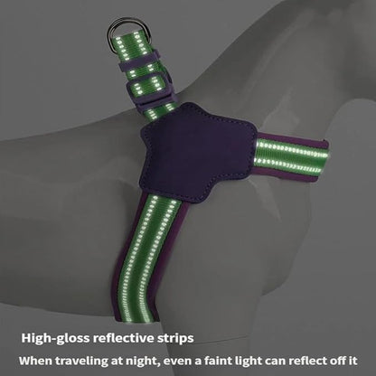 Reflective Dog Harness and Leash Set Designed for Collie, Anti-Pull Adjustable Pet Harness and Leash Yellow L