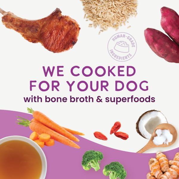 Health Extension Gently Cooked Lamb & Carrot Dog Food, Human-Grade & Shelf-Stable with Superfoods, Supports Digestion, Immunity, Skin & Coat, 9 oz Pouch (Pack of 1)