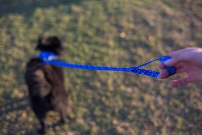 EcoBark Dog Leash - Soft & Reflective Comfort Leashes with Padded Handle - Safe, Strong, & Durable for Small, Medium or Large Dogs (Nautical)