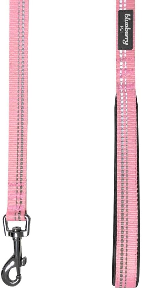 Blueberry Pet 3M Reflective Pastel Color Dog Leash with Soft & Comfortable Handle, 5 ft x 5/8", Baby Pink, Small, Leashes for Dogs