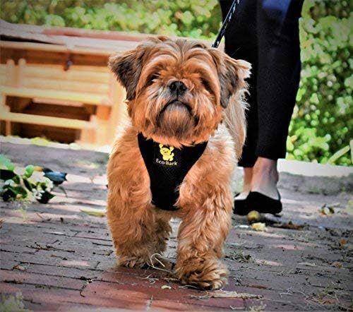 EcoBark Dog Leash - Soft & Reflective Comfort Training Leashes with Padded Handle - Safe, Strong, & Durable for Small, Medium or Large Dogs (Black)