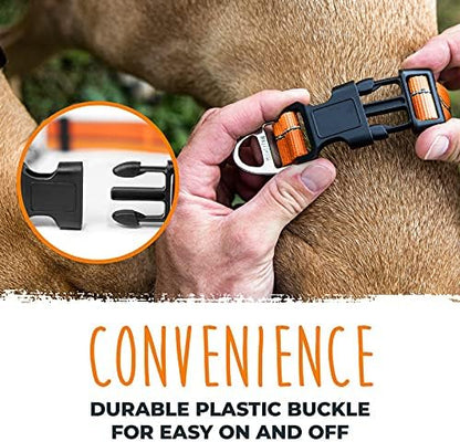 Mighty Paw Martingale Dog Collar 2.0 | Trainer Approved Limited Slip Collar with Stainless Steel Chain & Heavy Duty Buckle - Modified Cinch for Gentle & Effective Pet Training - Large, Orange