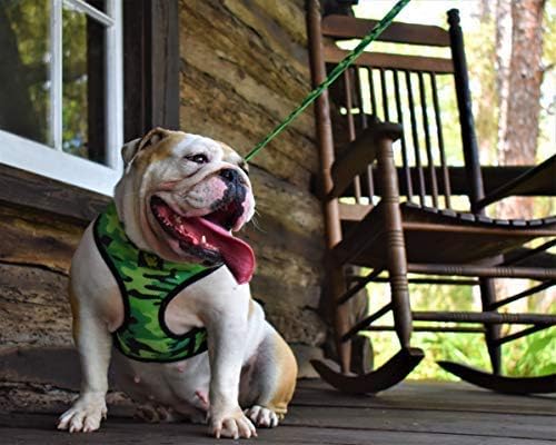 EcoBark Dog Leash - Soft & Reflective Comfort Leashes with Padded Handle - Strong Durable Heavy Duty - Training and Pulling for Small, Medium or Large Dogs (Camo)