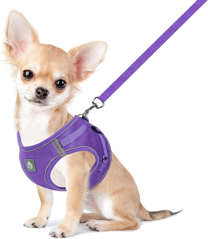 FEimaX Dog Harness and Leash Set, No-Pull Breathable Soft Mesh Puppy Vest Harness Reflective Adjustable Pet Harnesses for Small Medium Dogs and Cats - Outdoor Easy Control for Walking (M, Purple)